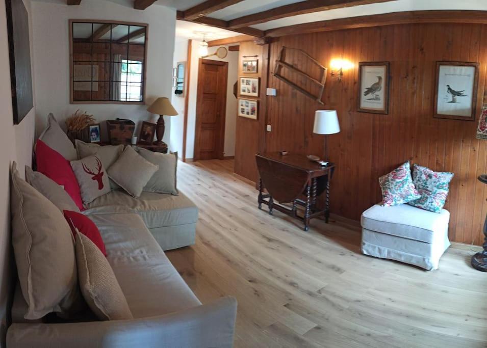 Cozy Apartment In The Heart Of The Alps Chateau-d'Oex Zewnętrze zdjęcie