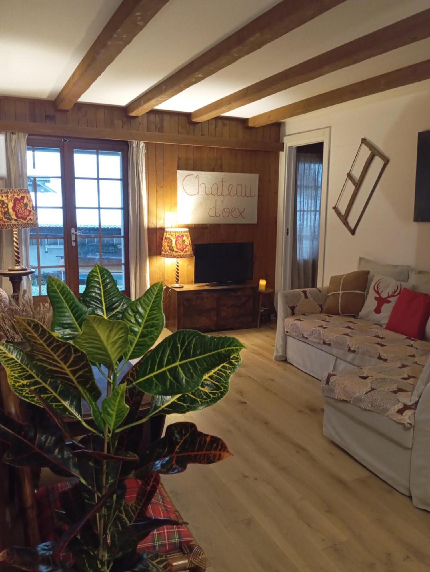 Cozy Apartment In The Heart Of The Alps Chateau-d'Oex Zewnętrze zdjęcie