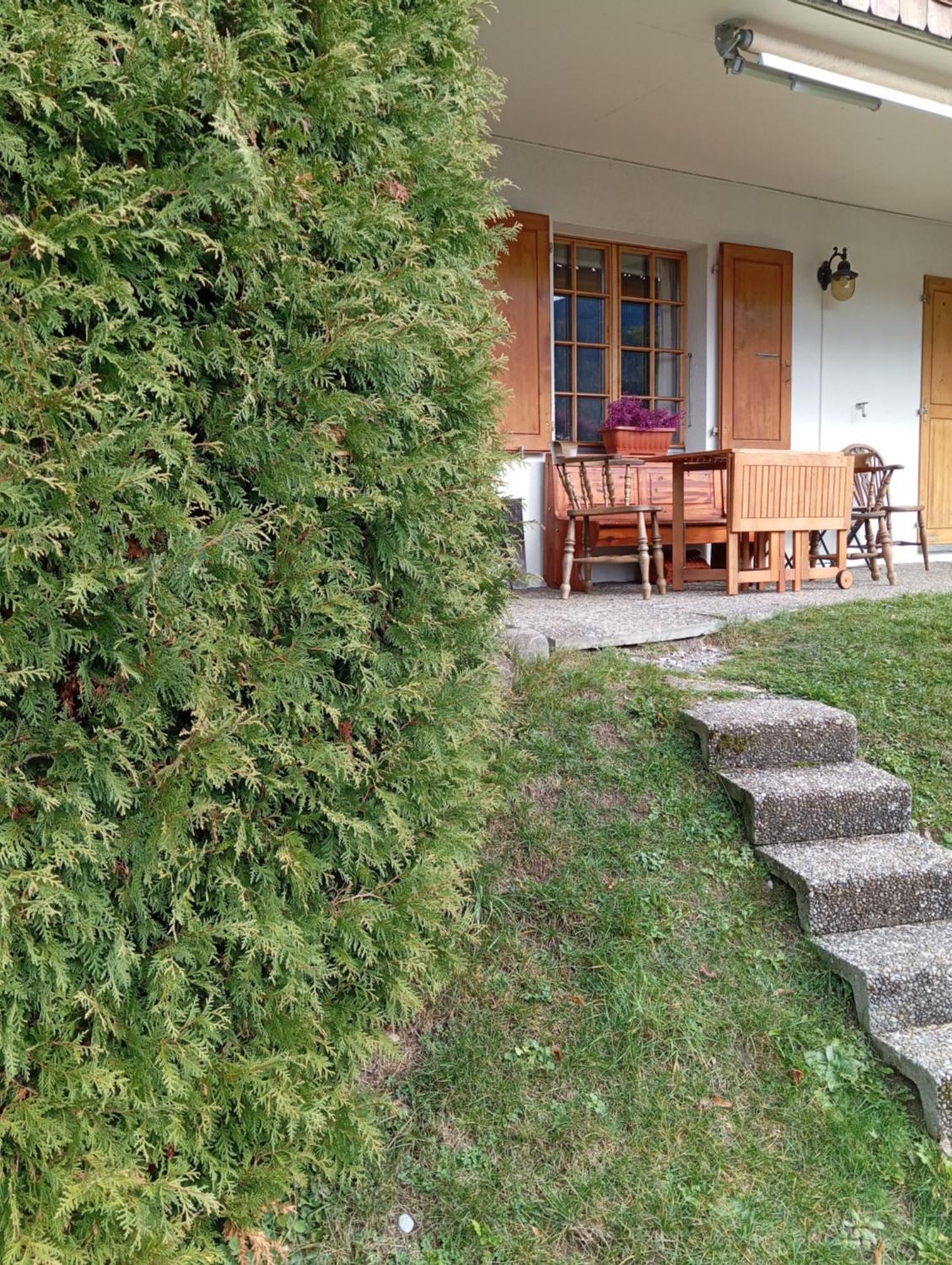 Cozy Apartment In The Heart Of The Alps Chateau-d'Oex Zewnętrze zdjęcie